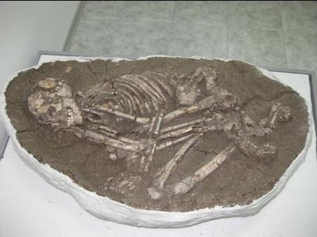 Скелет експониран под стъклен саркофаг в музея от VІ хил. пр. Хр.